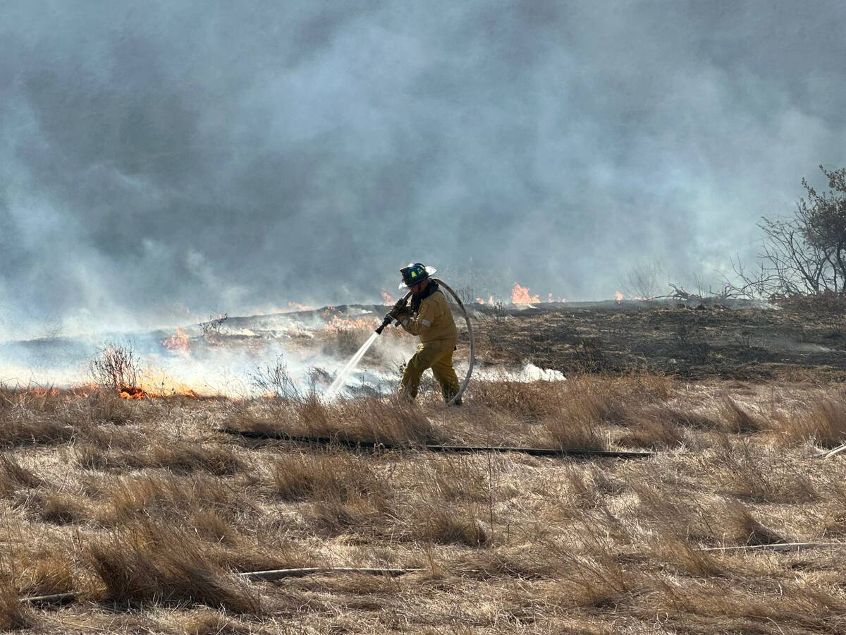 Con el apoyo de rancheros del lugar y elementos de la Guadia Nacional y el Ejército, el fuego se contuvo.