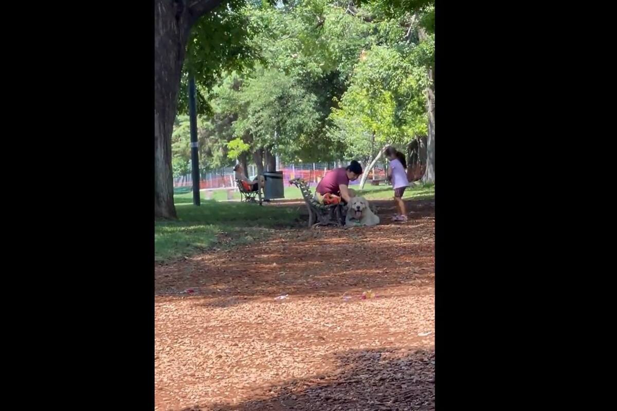 VIRAL TIKTOK: Mujer lleva de paseo a su perro y este se quiere quedar con otra famili