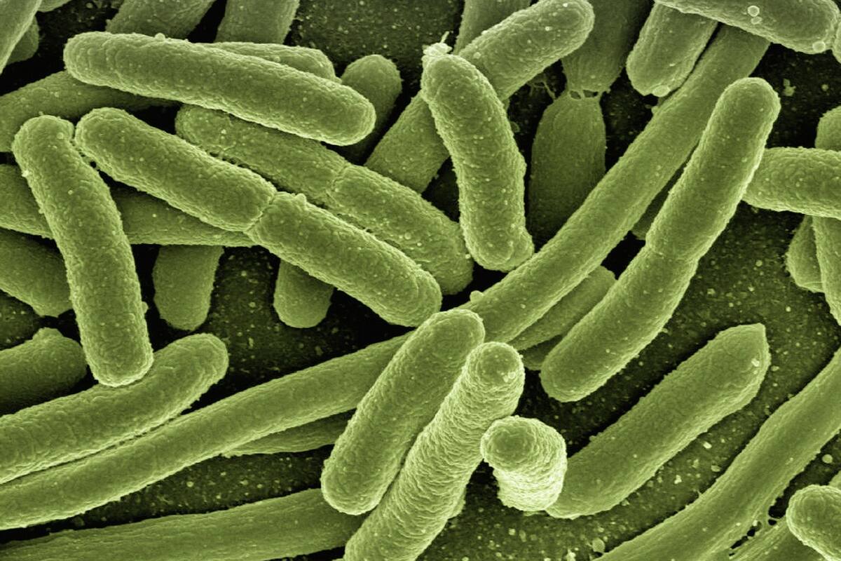 Miles de personas se infectan con una bacteria en China, luego de una fuga de gas de una biofarmacéutica