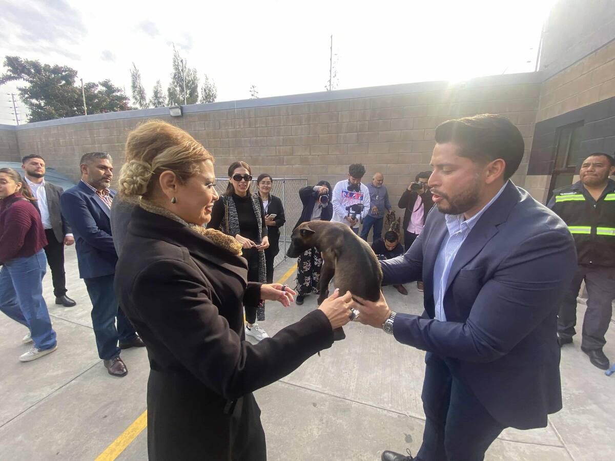 Foto: Roberto Delgado