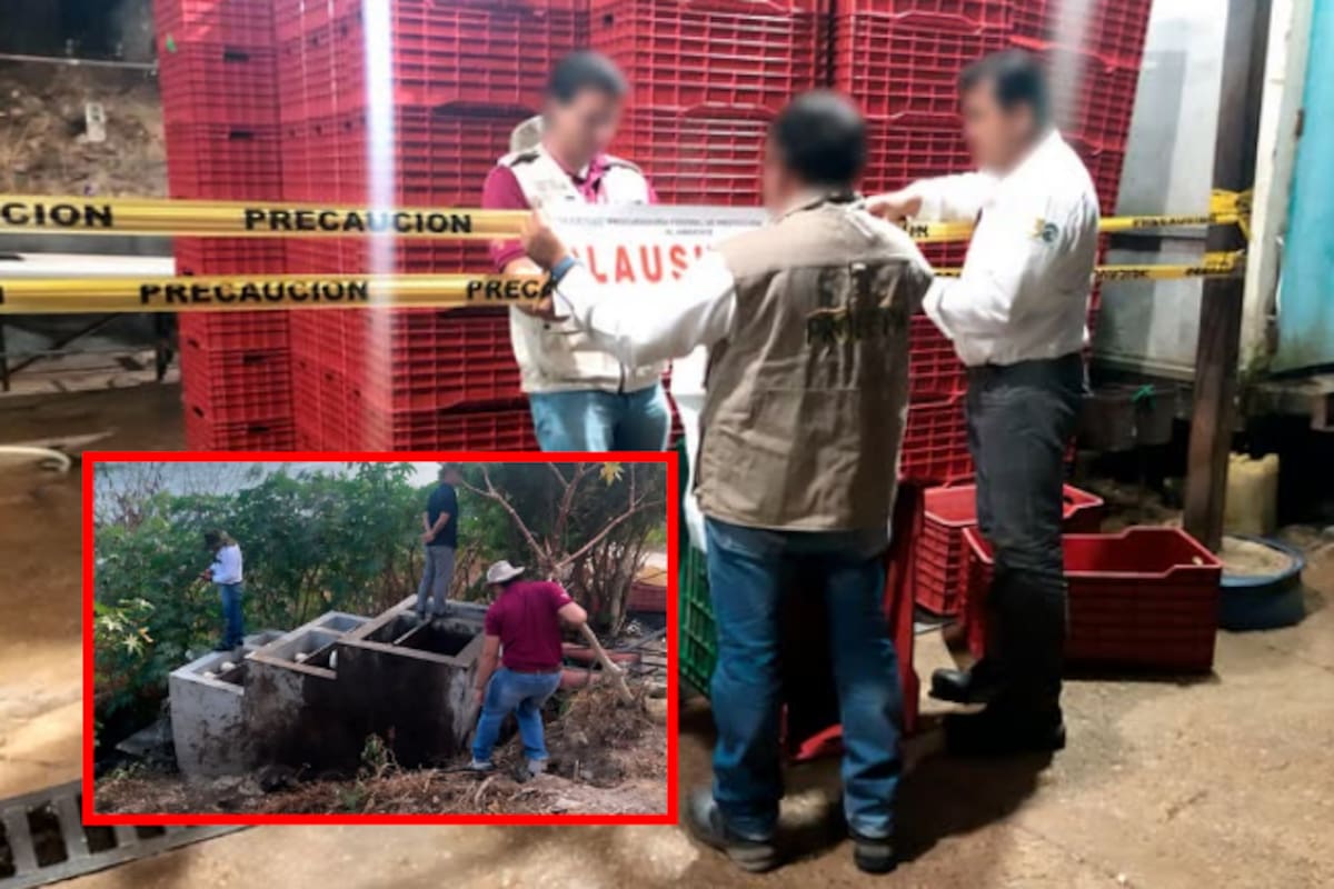 Clausura Profepa empresa en Chiapas por irregularidades en manejo de aguas residuales