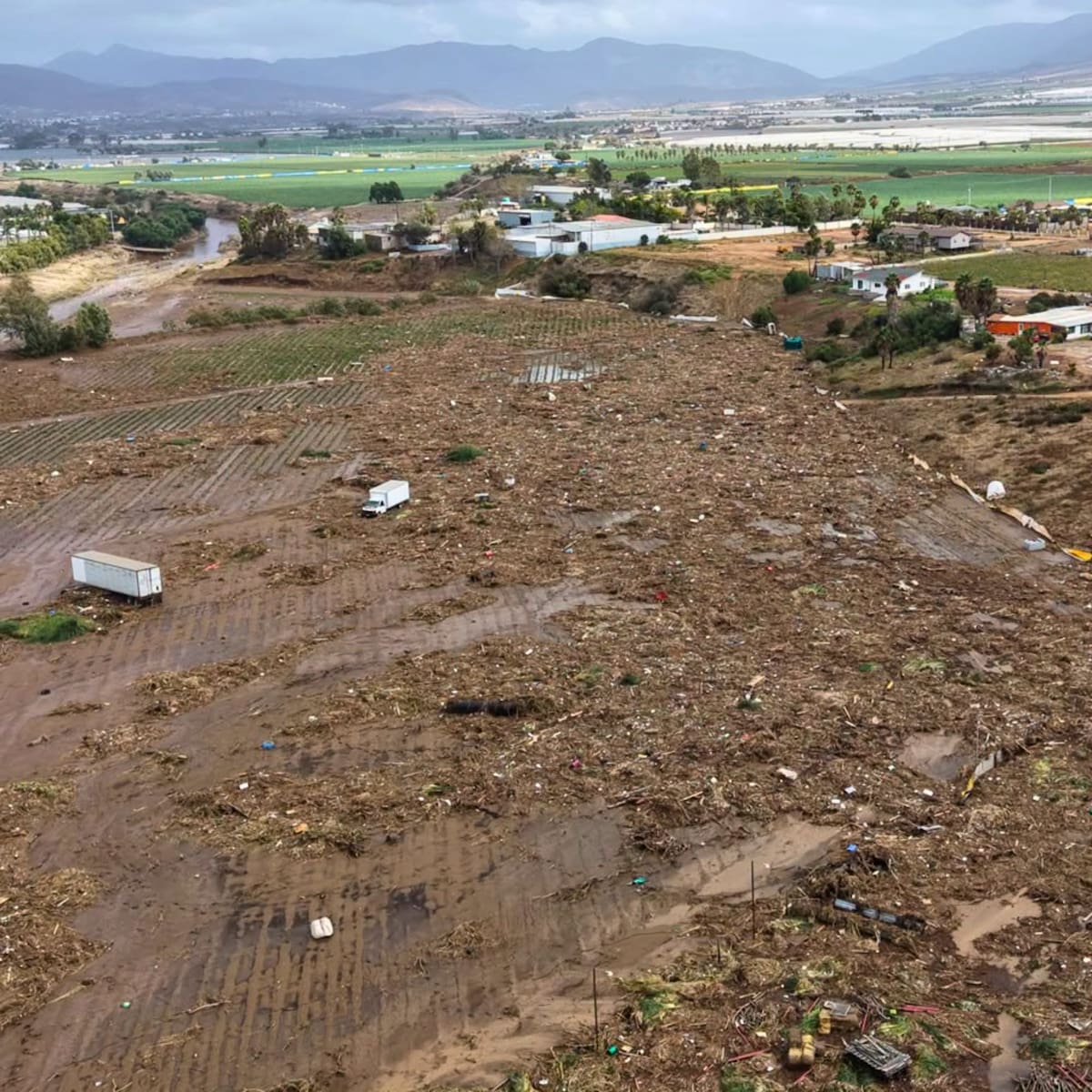 Las lluvias de la tormenta Rachel destruyeron cultivos de verduras gourmet en el Rancho Magaña, en Maneadero, Ensenada, y dejaron pérdidas superiores a 50 mil dólares, según el productor Daniel Magaña. Foto: Cortesía