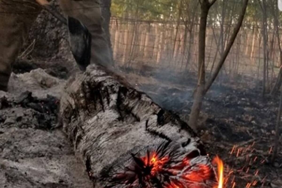 Regresan bomberos a Yuma tras apoyo en incendios en California