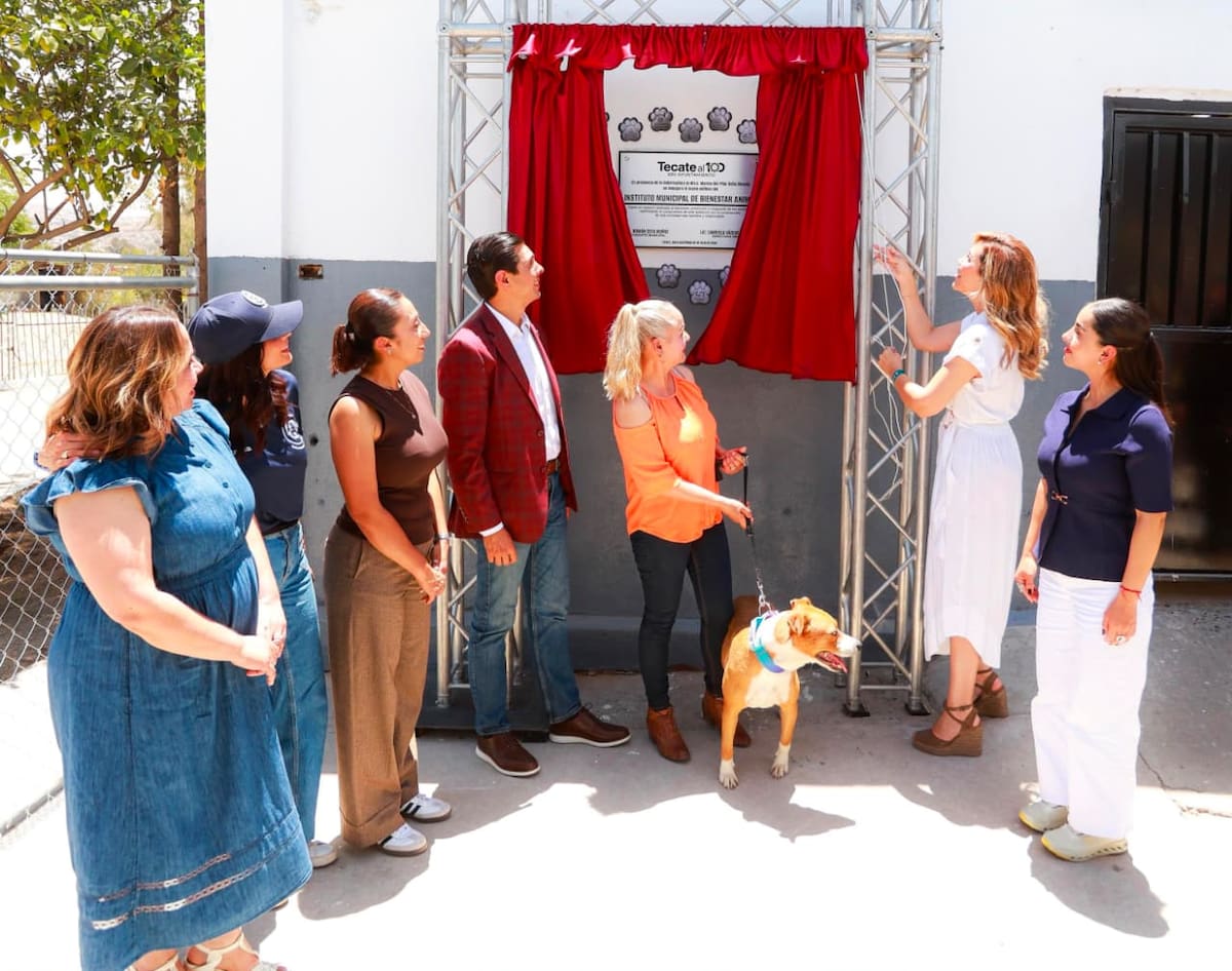 El nuevo espacio ofrecerá refugio temporal, atención veterinaria y promoverá la adopción responsable de animales de compañía. Foto: Cortesía