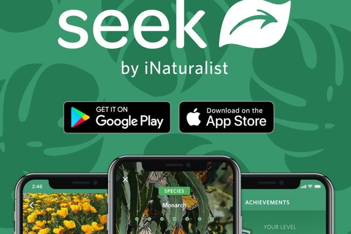 Ya existe un Shazam para identificar animales y plantas