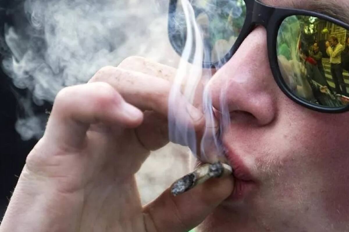 Nueva Jersey: Comenzará la venta legal de marihuana para uso recreativo