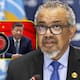 Director de la OMS admite que está “muy decepcionado” con China porque se niega a dar información sobre el origen del Covid-19 y revela que no recibió datos clave para cerrar la investigación
