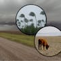 El Niño alcanzará su mayor intensidad entre octubre y diciembre de 2026, advierte el SMN; prevén más sequías, cambios en las lluvias y 97% de probabilidad de que continúe hasta 2027