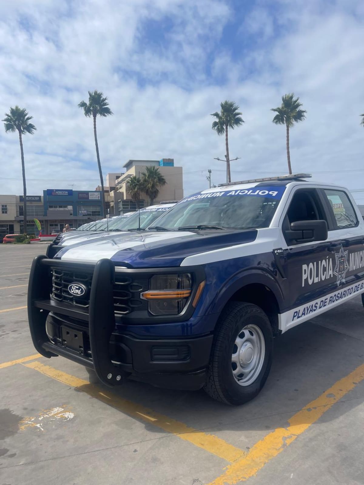 Foto: Carmen Gutiérrez