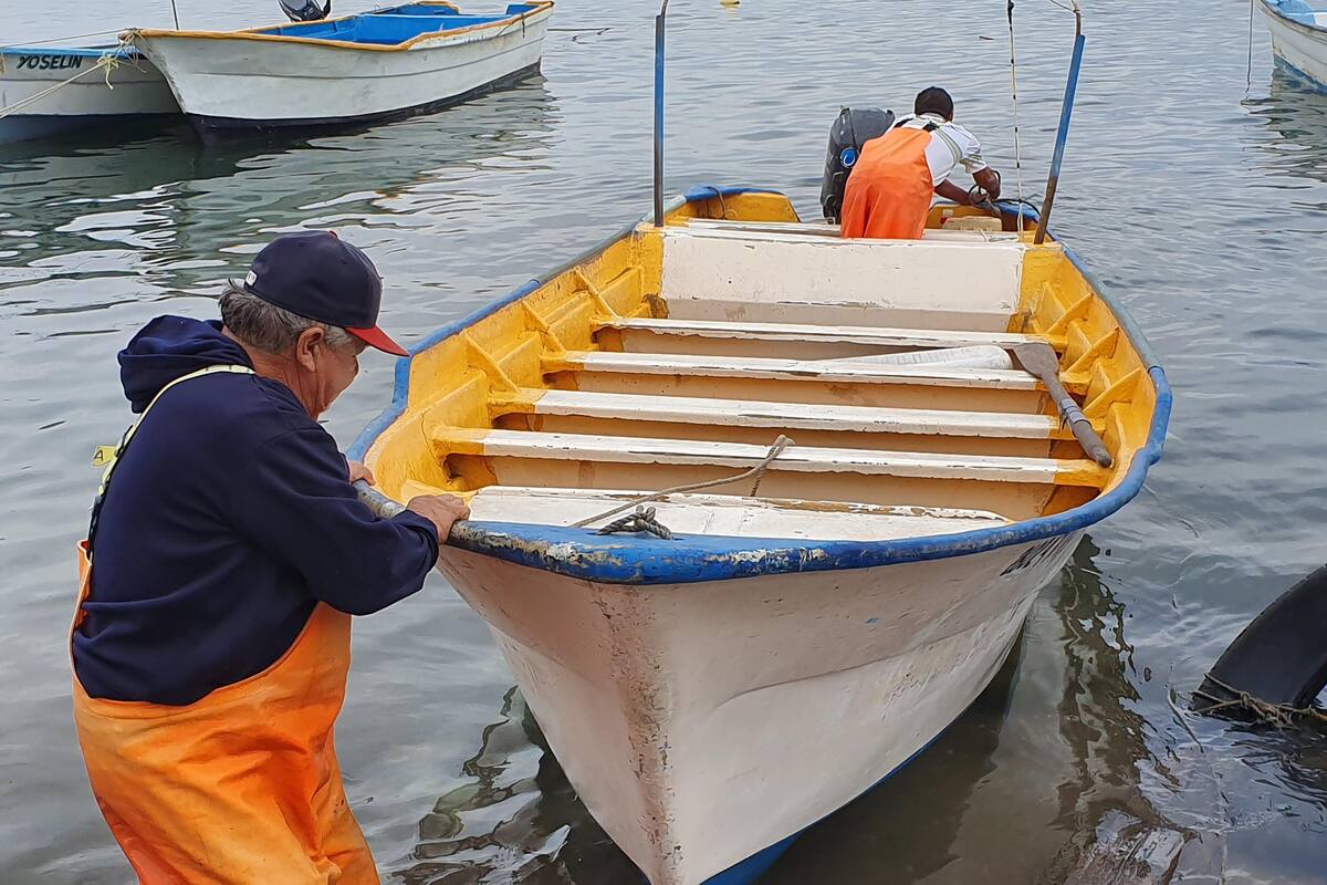 ‘Pangueros’ rematan su producto para sobrevivir a la crisis