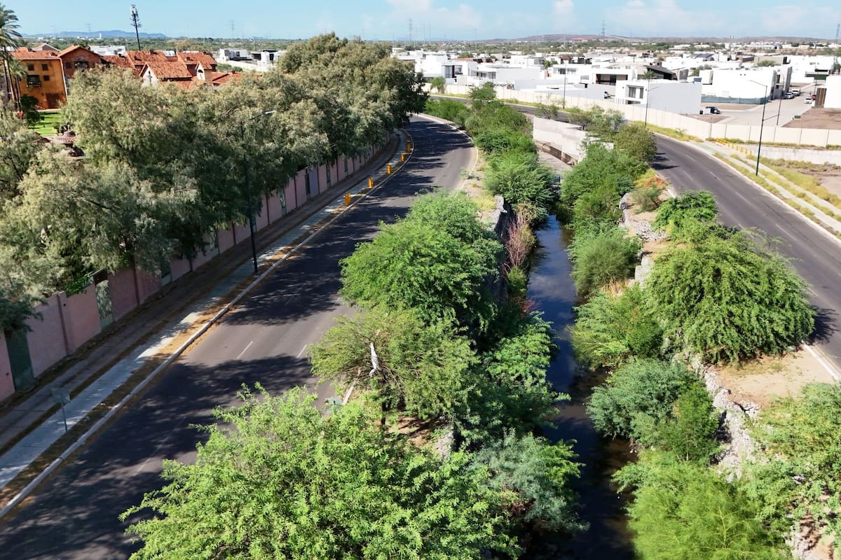 Tras lluvias en Hermosillo crece maleza en canal de Paseo del Río y Colosio