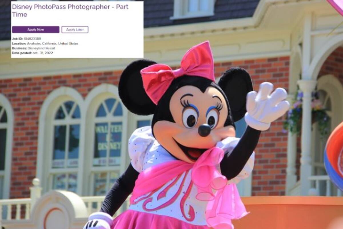 Disney ofrece empleo a fotógrafos con un sueldo de casi dos mil pesos al día