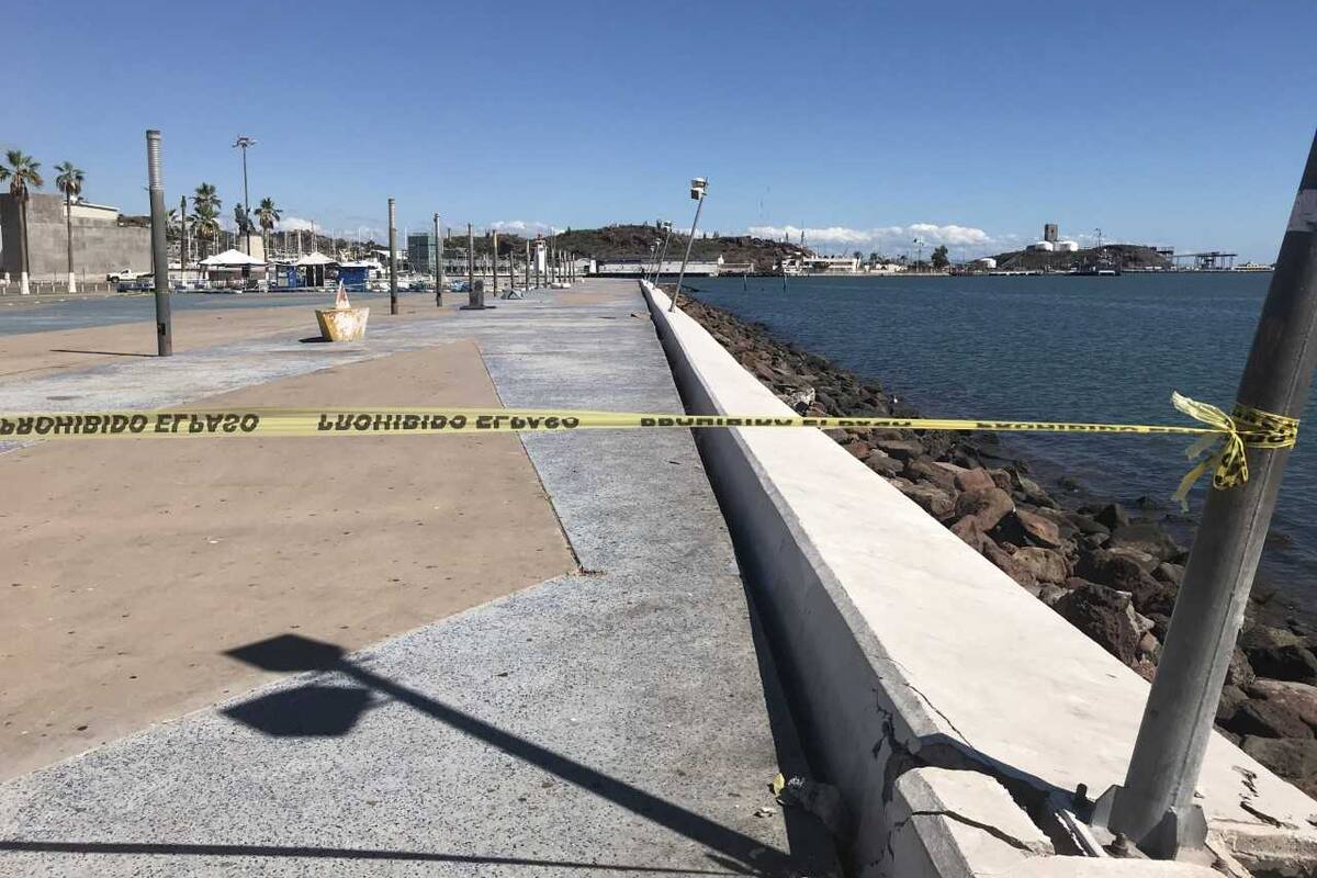 Atacarán plaga de ratas "jumbo" en Malecón de Guaymas