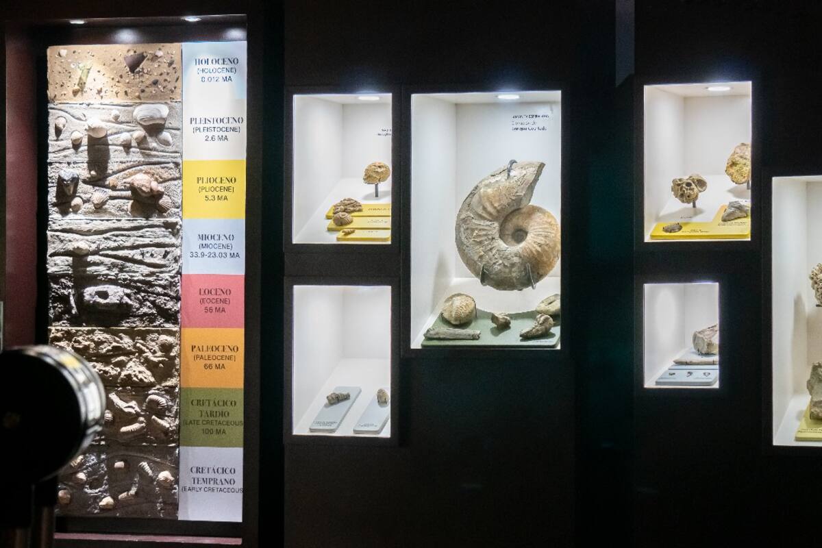 Invitan a visitar Caracol Museo de Ciencias