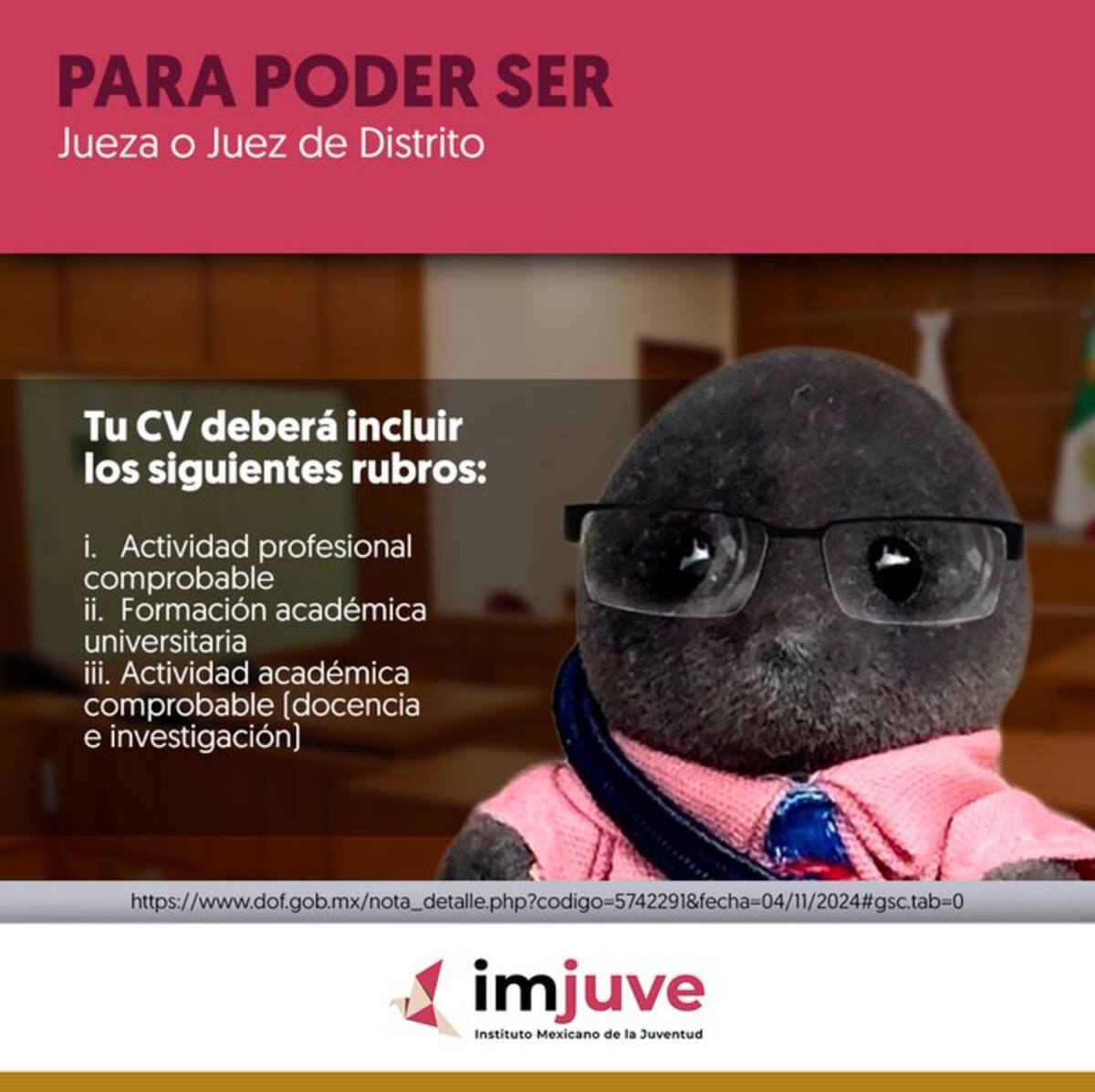 El Imjuve detalla los rubros necesarios en el CV para jueces de distrito. / Captura de pantalla. @imjuvemx en X