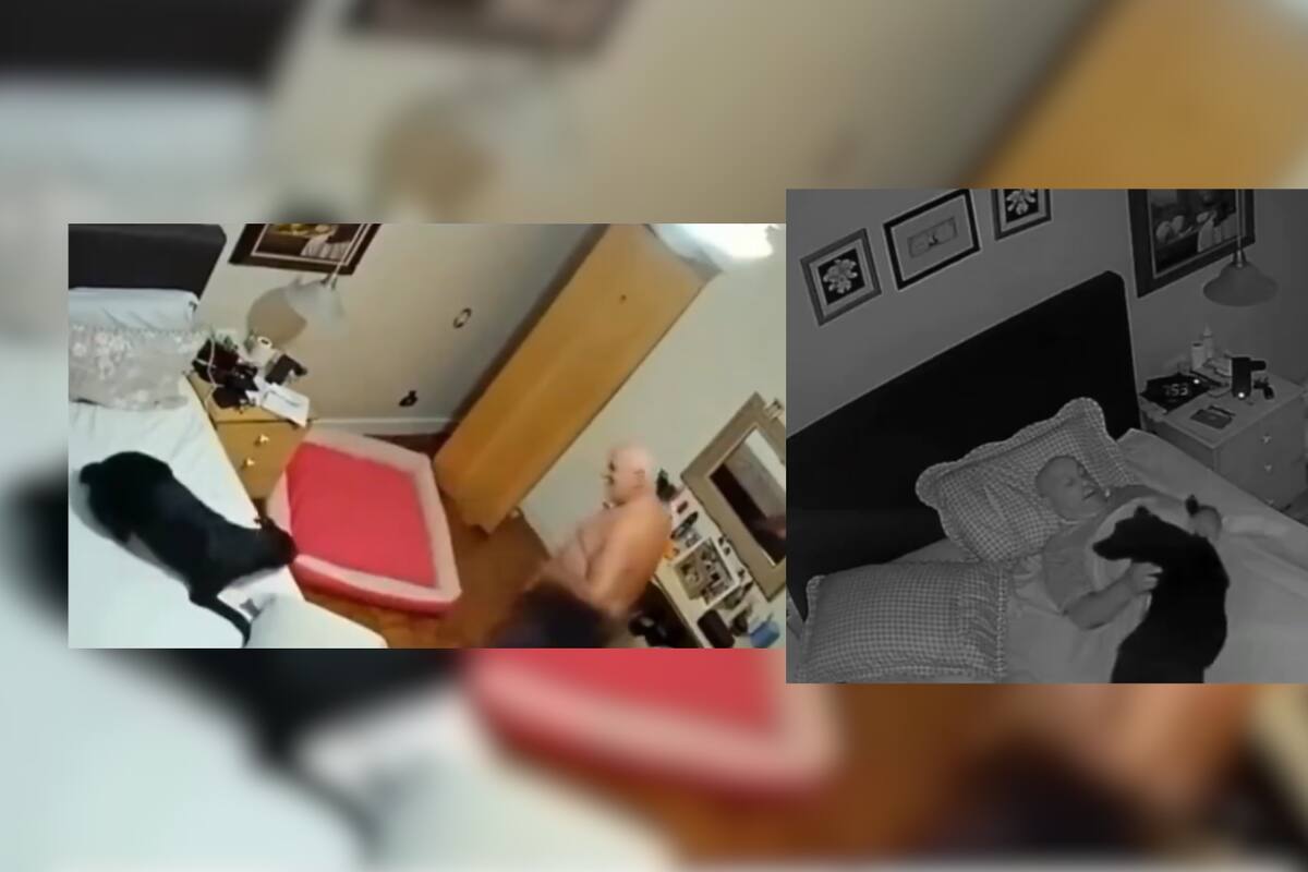 VIDEO VIRAL: Perdió a su mujer y sus hijos le regalaron un perro: así fue su primer día juntos