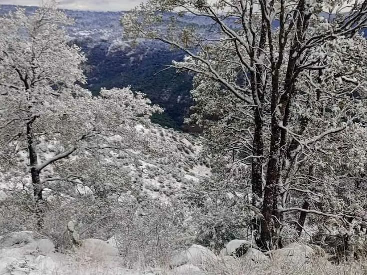 Frente frío 27 deja temperaturas bajo cero y paisajes congelados en Yécora, Sonora