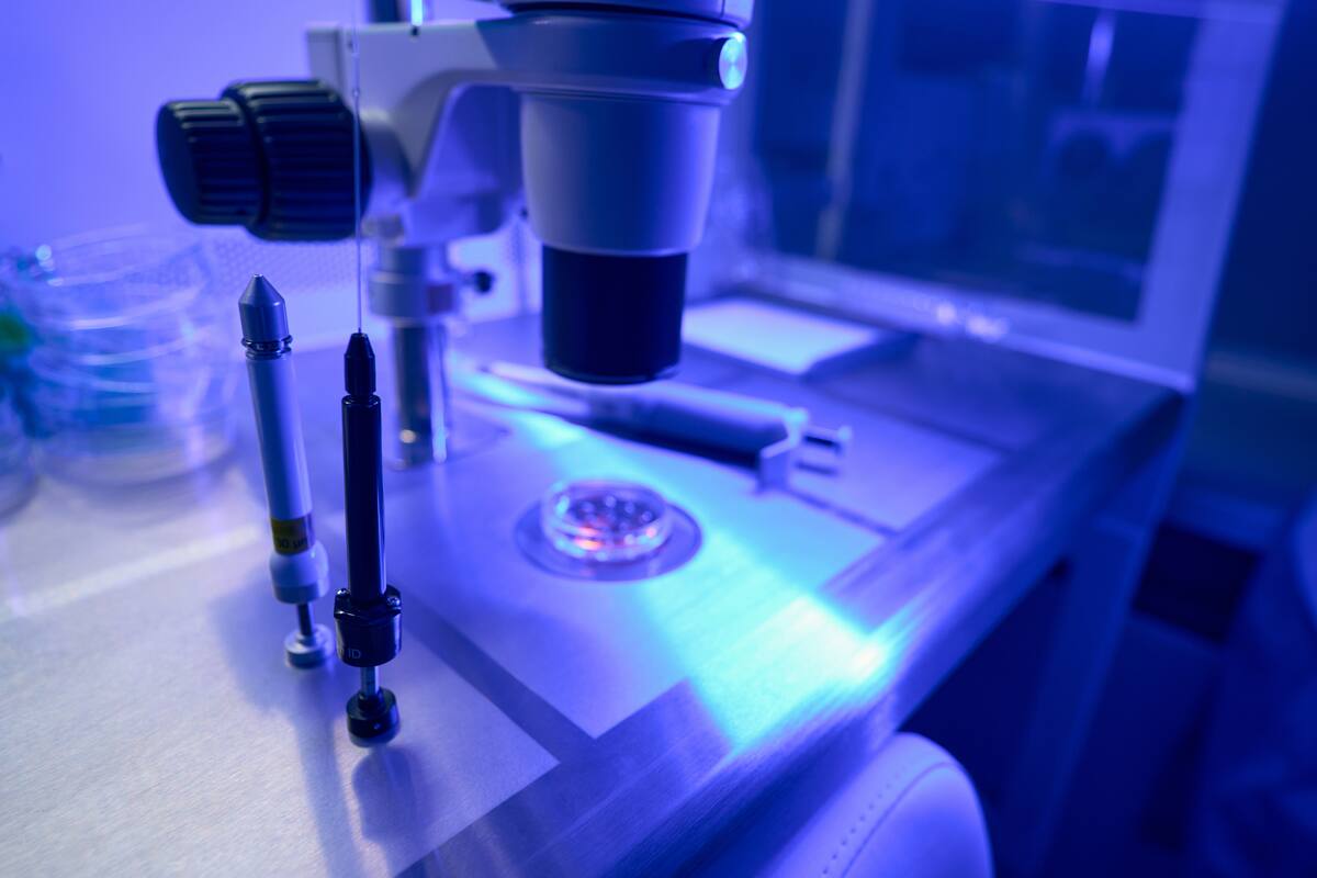 Los bebés nacidos por fertilización in vitro tienen más probabilidades de tener un defecto cardíaco: estudio
