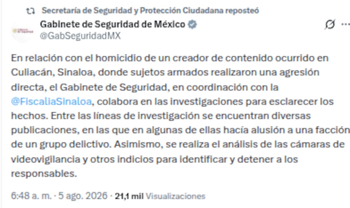 Comunicado oficial del gabinete de seguridad sobre influencer César Gastélum. | Crédito: X @GabSeguridadMX