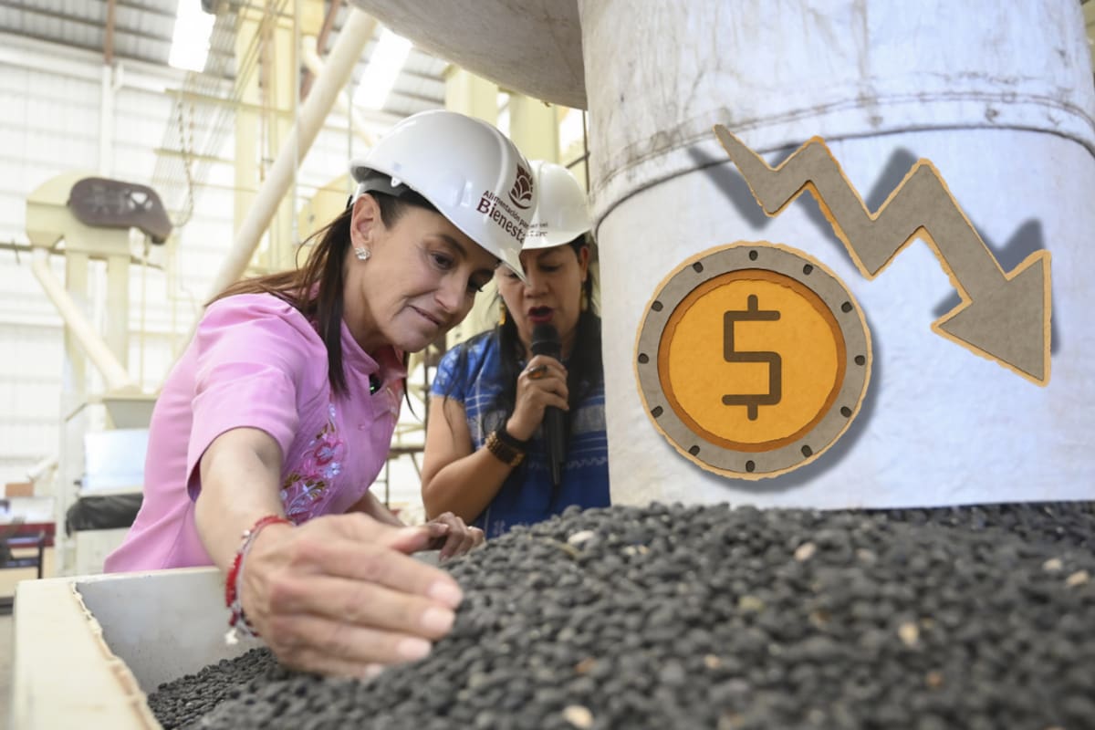 De 40 mil a 100 mil toneladas: Claudia Sheinbaum confirma incremento de compra de frijol ante caída de precios de $27 a $7 por kilo