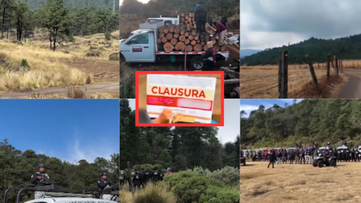 Cómo impacta a 20 millones de personas la protección del Bosque de Agua: vigilancia reforzada en Ciudad de México, Estado de México y Morelos