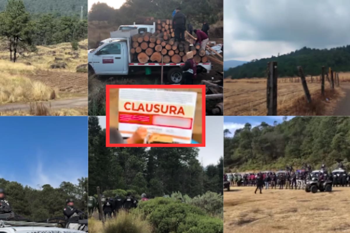 Cómo impacta a 20 millones de personas la protección del Bosque de Agua: vigilancia reforzada en Ciudad de México, Estado de México y Morelos