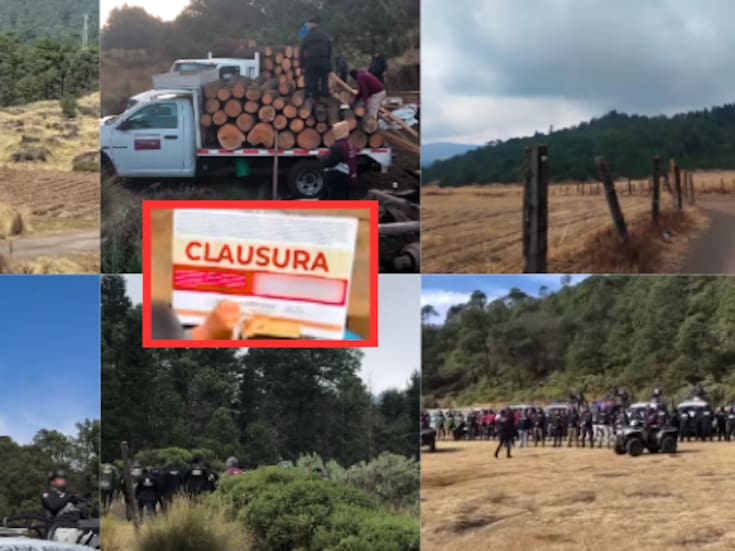 Cómo impacta a 20 millones de personas la protección del Bosque de Agua: vigilancia reforzada en Ciudad de México, Estado de México y Morelos