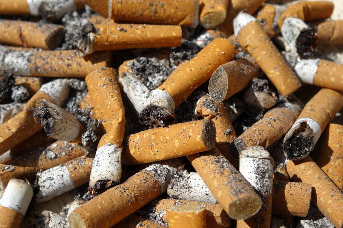 Van ¡a la caza de colillas de cigarro!