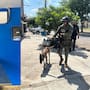 Rescatan a pastor belga abandonado; será preparado como binomio K9