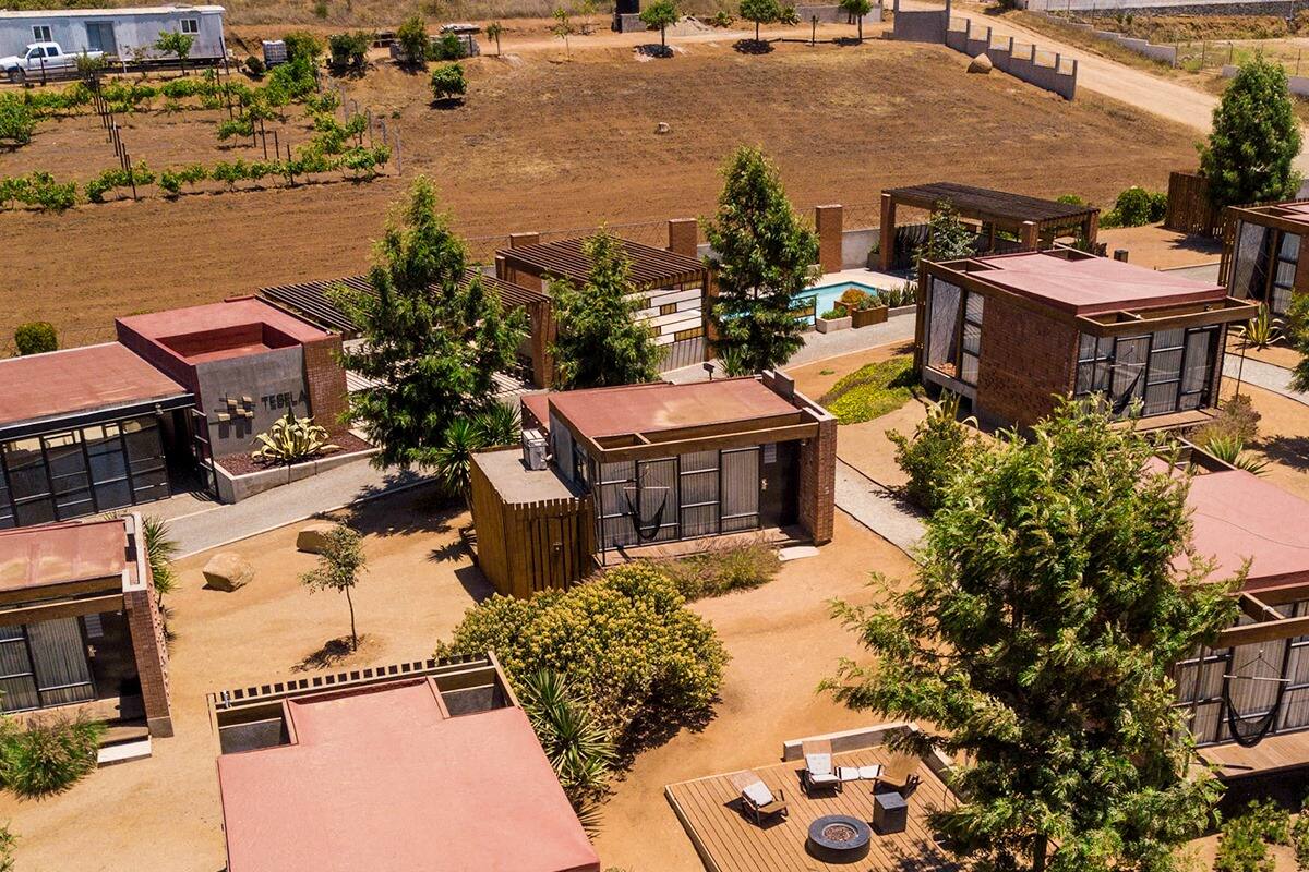 Con más de 240 empresas el Valle de Guadalupe ofrece infinidad de experiencias