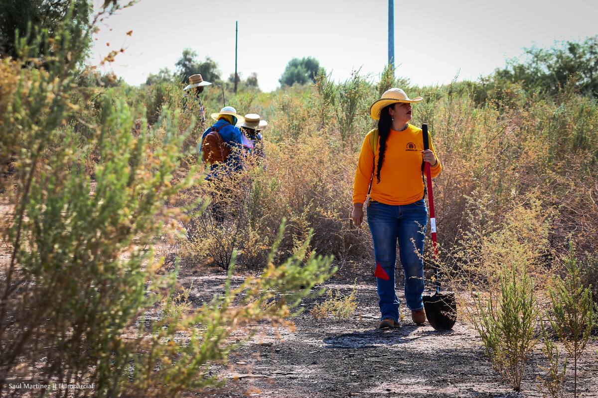 Encuentran restos humanos cerca del canal Tulichek