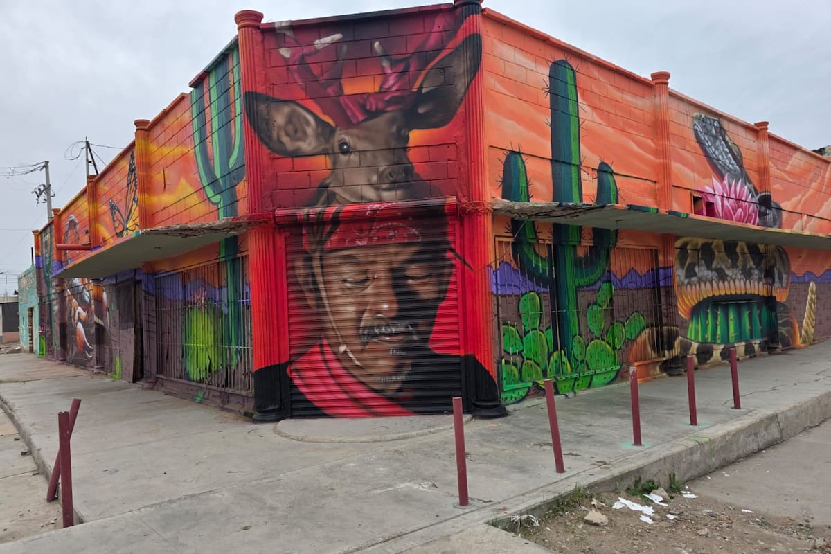 Con murales urbanos buscan transformar espacios públicos en San Luis
