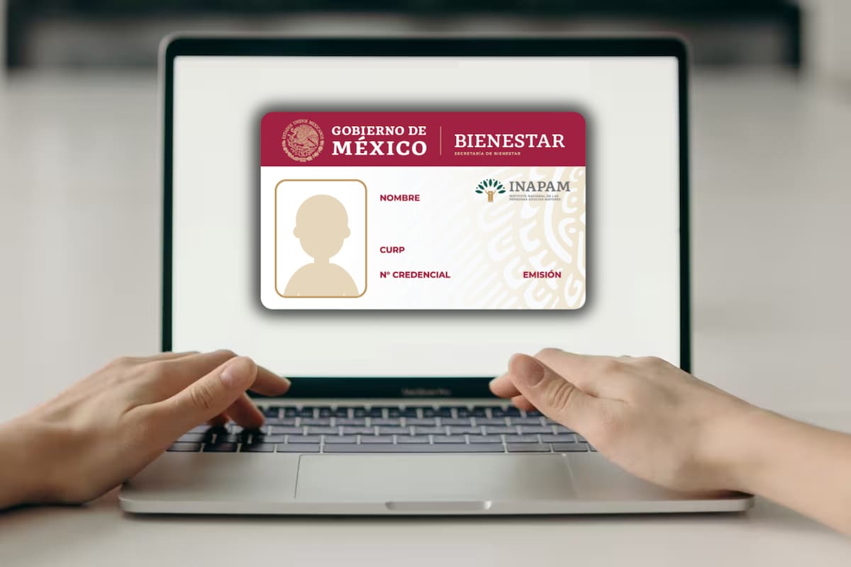 ¿La credencial INAPAM podrá tramitarse en línea en 2026? Esto es lo que se sabe hasta ahora