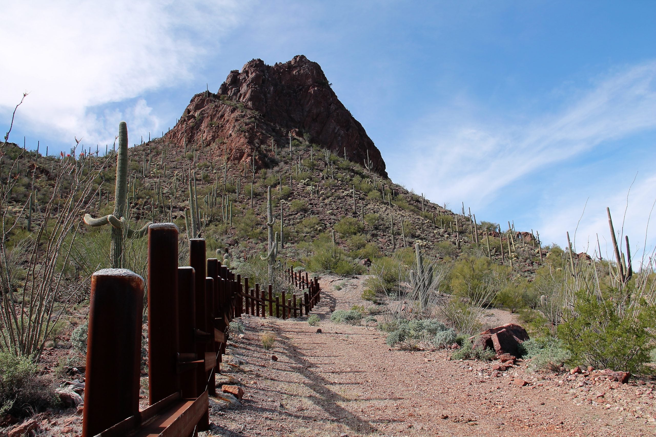 Muro fronterizo en Arizona enfrenta reclamos por libertad religiosa y abre una disputa por la protección de sitios sagrados, plantas ceremoniales y agua en territorios indígenas junto a la frontera con México