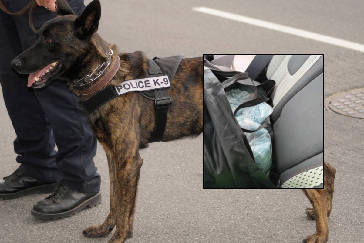 Aseguran agentes fronterizos metanfetamina y fentanilo