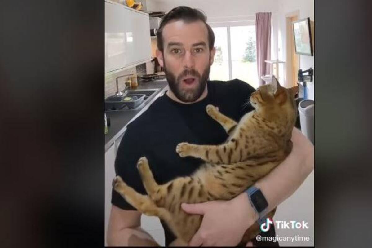 TIKTOK: Gatito "canta" canción de Backstreet Boys a lado de su dueño
