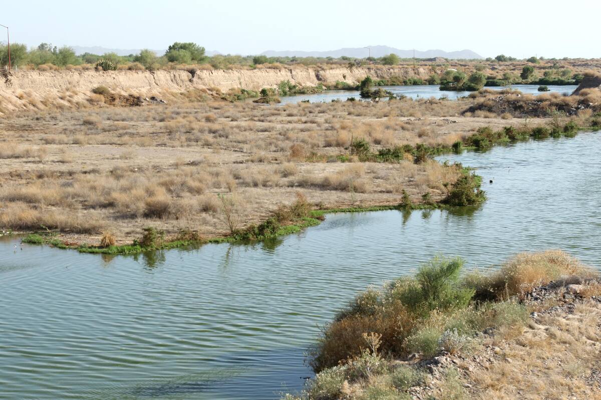 Abrirán Eco Parque al cambiar semáforo