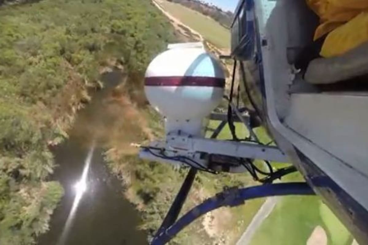 Preparan combate contra el virus del Nilo Occidental en San Diego