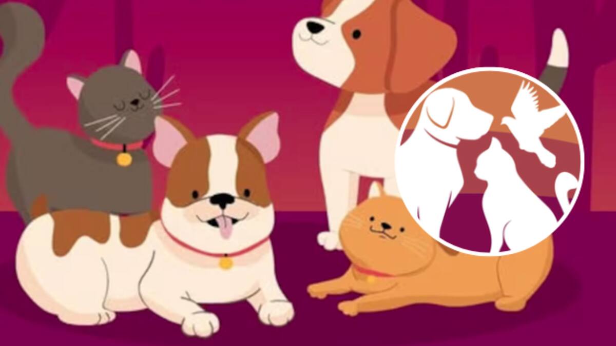 Llevan jornada de bienestar animal a colonia Pueblitos: habrá consultas, vacunas y desparasitación gratuita
