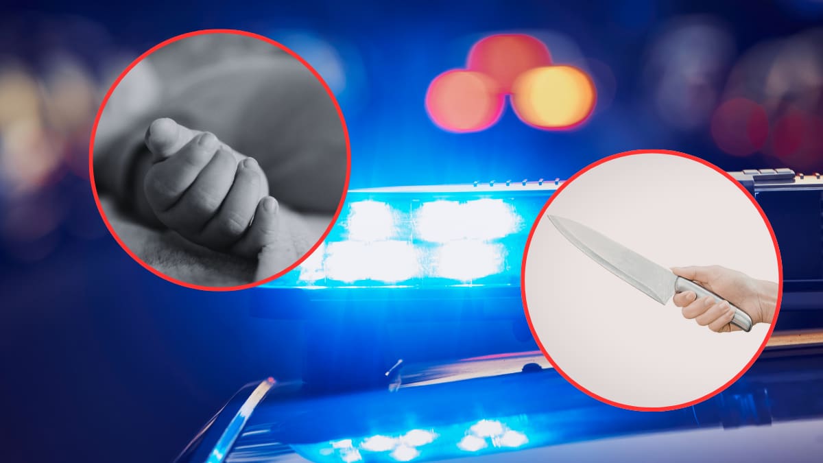 Jonathan “N” mató a su madre de 52 años y a su sobrino de 7 meses dentro de una vivienda en CDMX: La Fiscalía abrió carpeta por feminicidio y homicidio tras una discusión por consumo de drogas