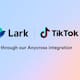 Lark, la plataforma de IA de la empresa de TikTok