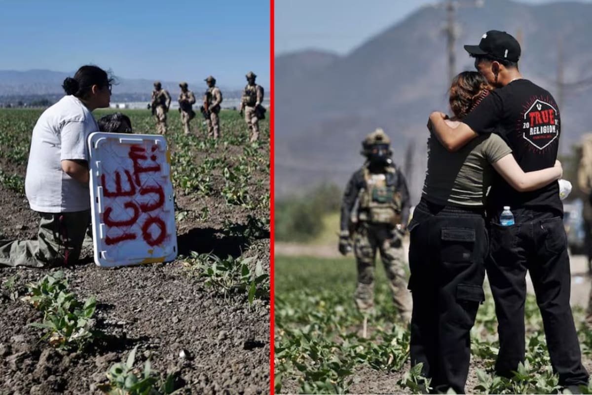 Rescatan a 8 niños migrantes no acompañados en redada del ICE a granja de marihuana en California: DHS investiga posible trata y explotación infantil