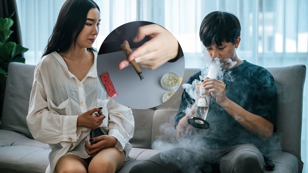 Psiquiatra de Stanford confirma que la marihuana sí genera adicción mientras disminuye búsqueda de tratamiento.