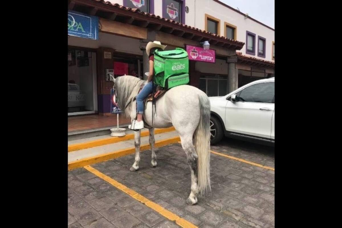 Repartidora de comida entrega pedidos a caballo