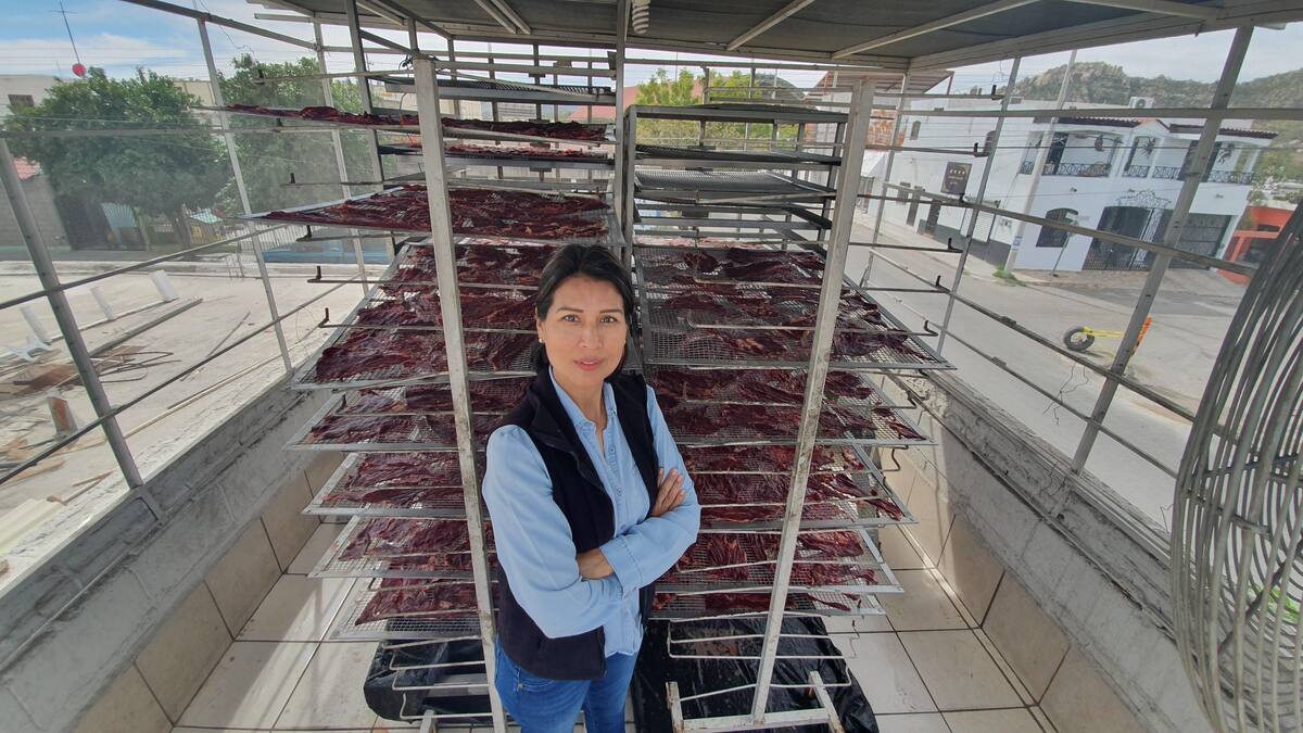 La tradicional machaca sigue siendo de los alimentos preferidos de los sonorenses a pesar de que el kilo puede alcanzar los 800 pesos, aseguró Guadalupe Cerecer Yocupicio.