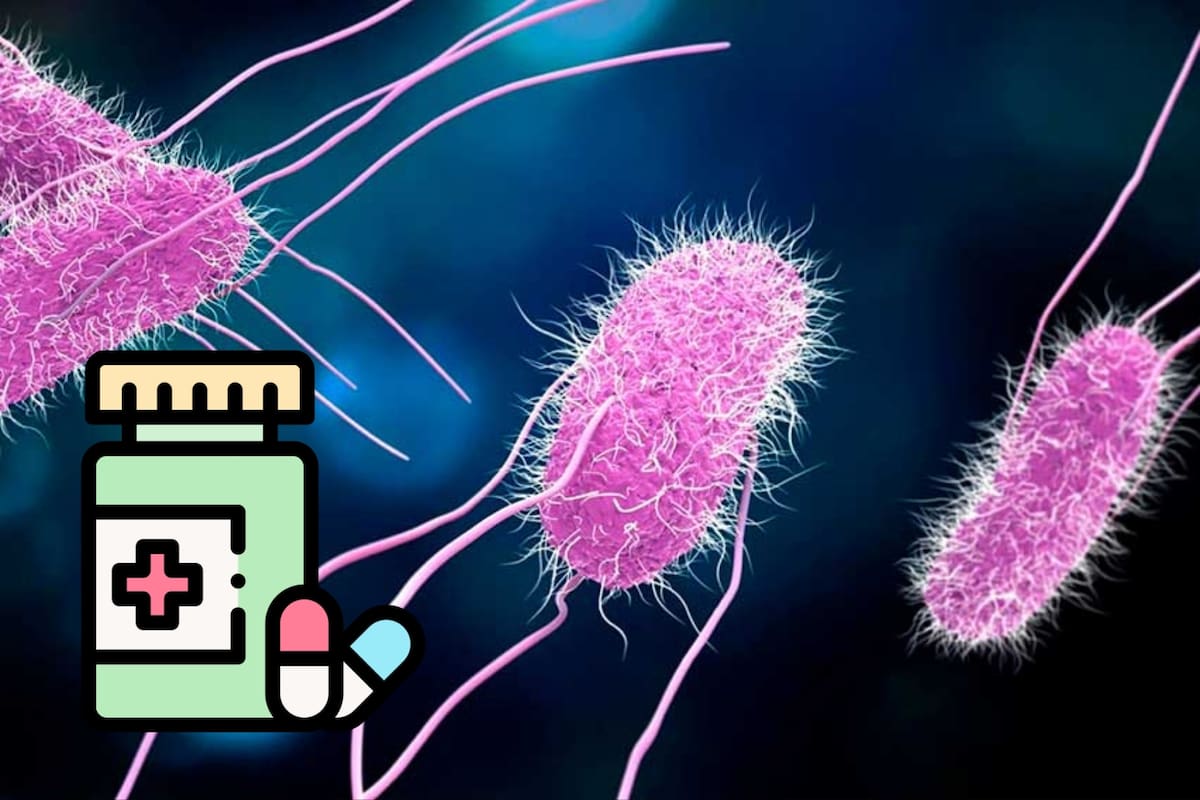 Superbacterias en ascenso: La amenaza que puede terminar con la era de los antibióticos