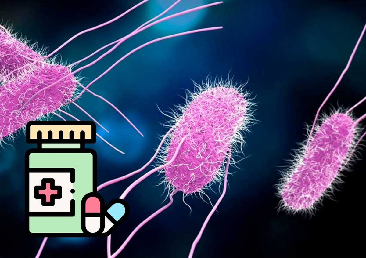 Las autoridades sanitarias advierten sobre las cepas de Shigella resistentes a los antibióticos, que limitan las opciones de tratamiento. Foto: Vircell/Flaticon/Canva.