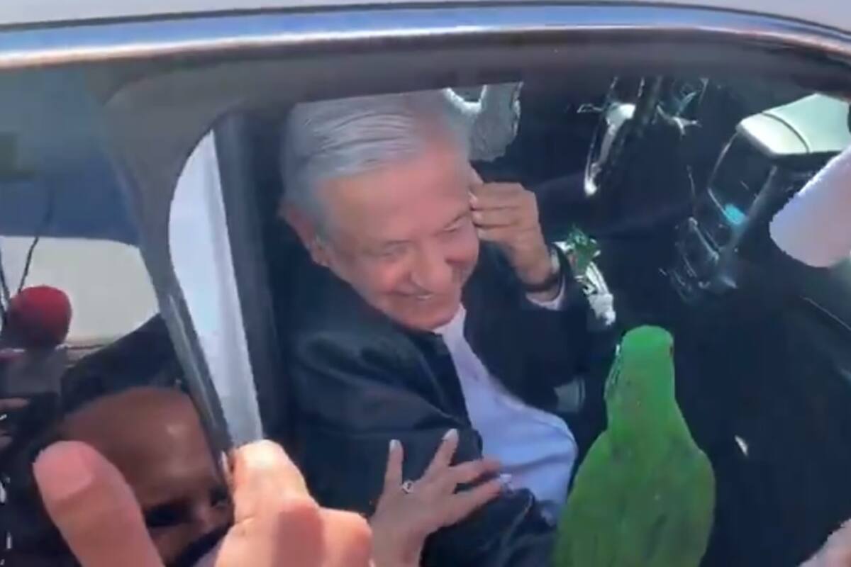 ¿Quién es la mujer que le regaló un perico a AMLO?
