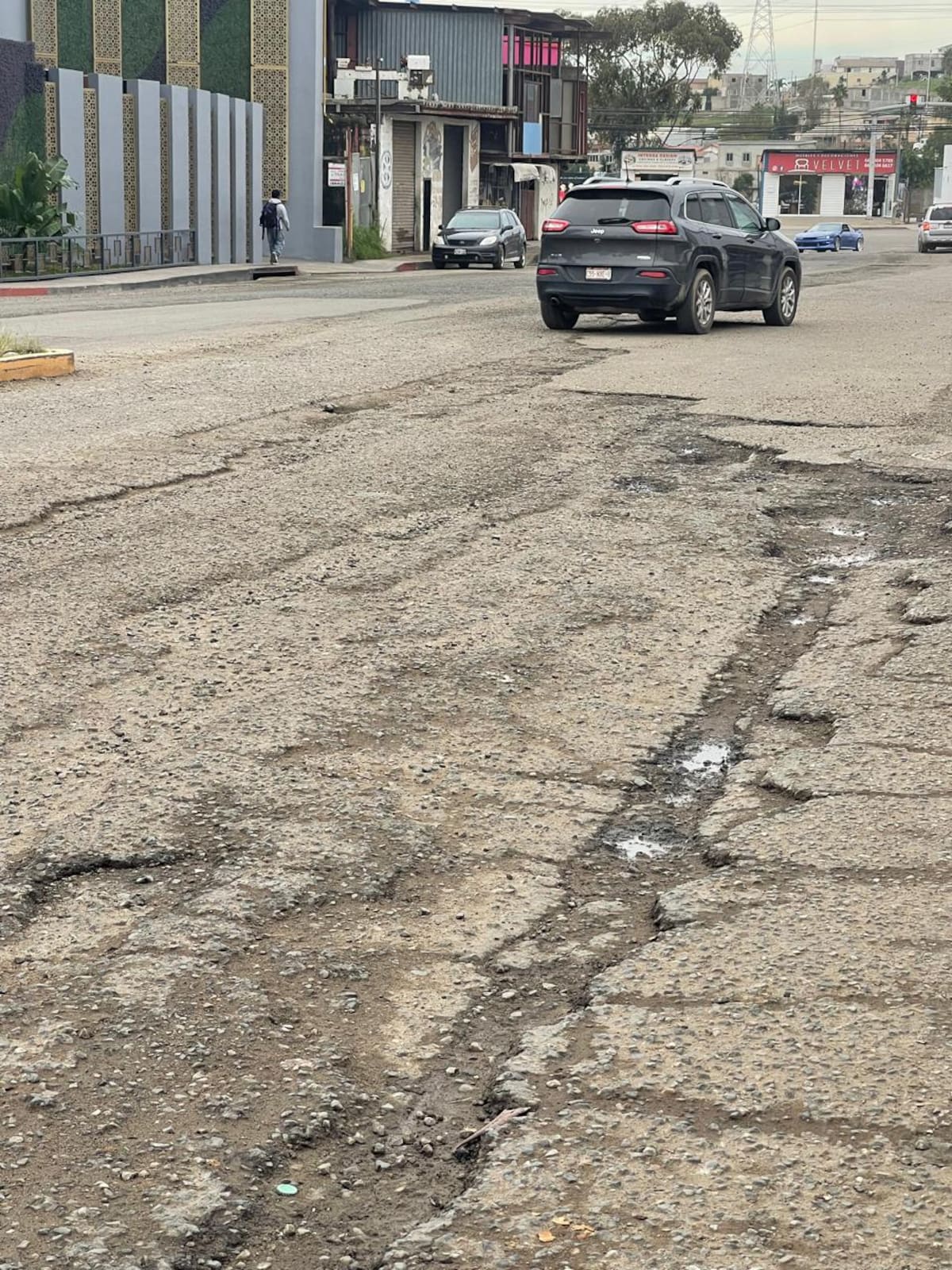 Foto: Carmen Gutiérrez