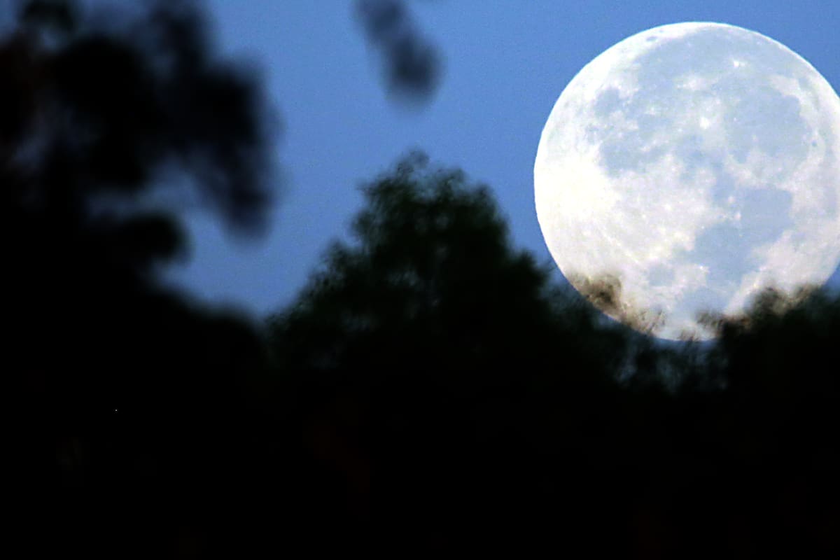 Luna de Cosecha 2026 llegará el 26 de septiembre y estos son los horarios para verla en Hermosillo y otras ciudades de Sonora